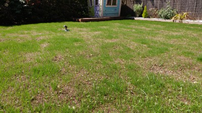 20170510_114634.jpg