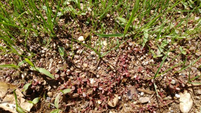 20170510_114629.jpg