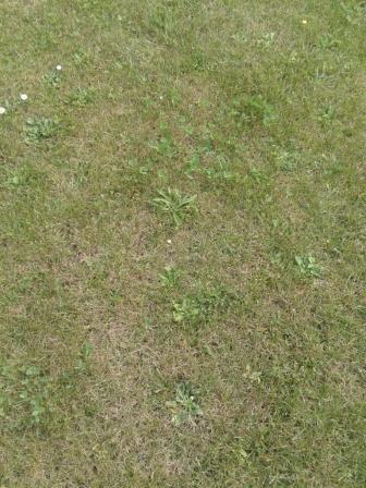 20140914_154448 1.jpg