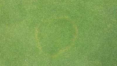20150724_142829.jpg