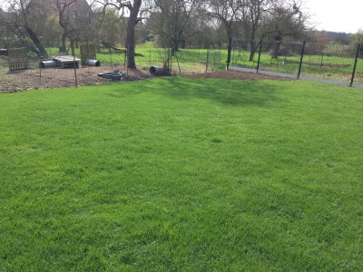 Voici une photo de mon terrain LA photo date d'avril