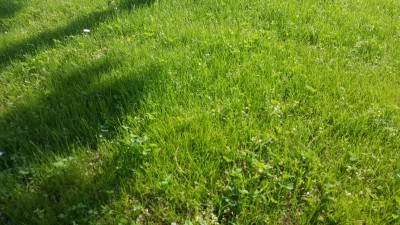 20170518_175024.jpg