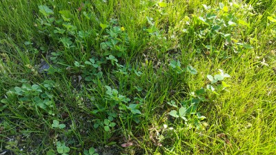 20170518_175019.jpg