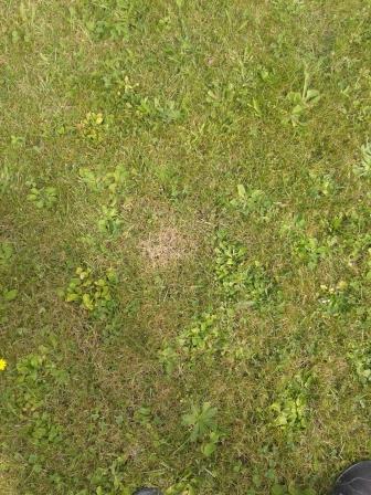 20140914_154455 2 1.jpg