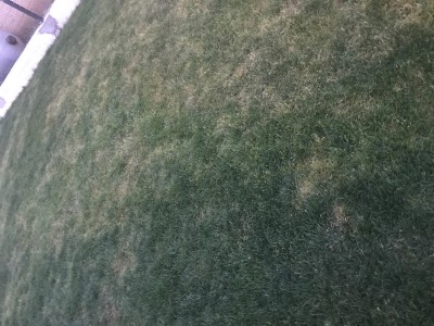 IMG_3690.JPG