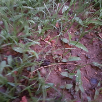 20170522_212345.jpg
