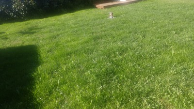 20170526_084626.jpg