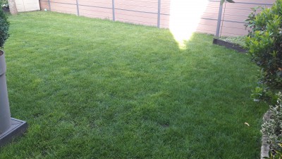 20170528_084910.jpg
