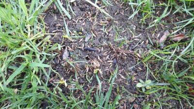20170528_085117.jpg