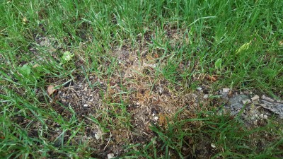 20170530_192255.jpg