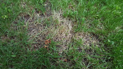 20170530_192245.jpg