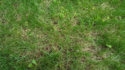 20170530_192238.jpg