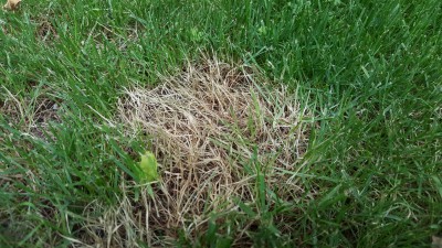 20170530_192230.jpg