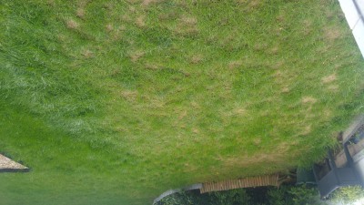 20170520_180656_HDR.jpg