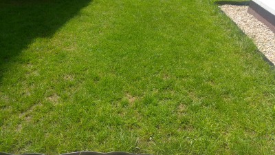 20170527_140756_HDR.jpg