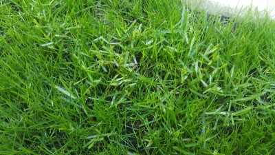 20170601_113948.jpg