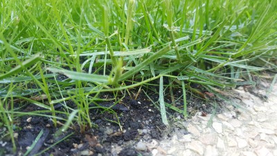 20170601_113932.jpg