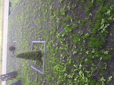 20170604_191943.jpg