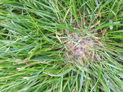 20170607_082413.jpg