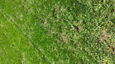 20170607_121346.jpg