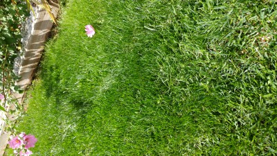 20170607_121353.jpg