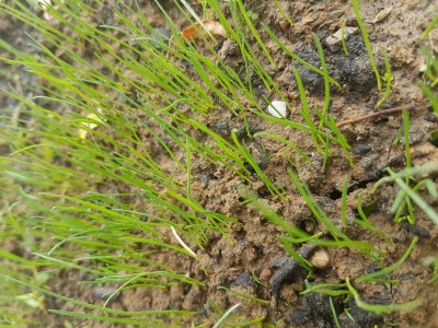 20170608_163140.jpg