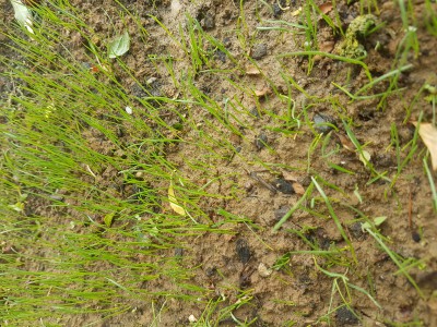 20170608_163137.jpg