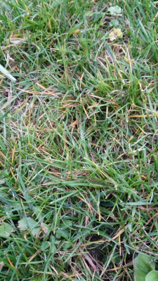 20170609_204058.jpg