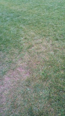20170609_204144.jpg