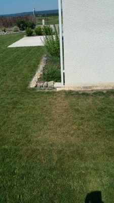 20170611_114140.jpg