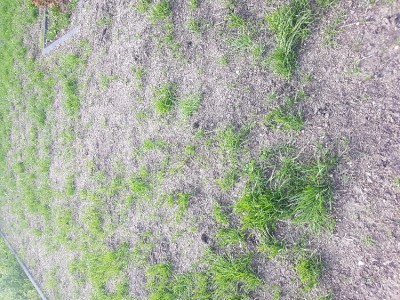 20170611_184627.jpg