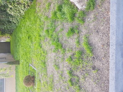 20170611_184611.jpg