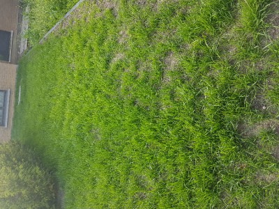 20170611_184423.jpg