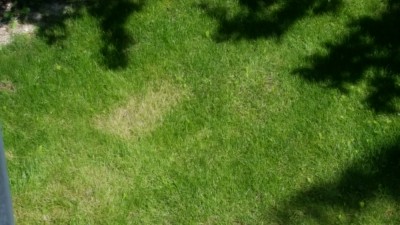 20170615_111402.jpg