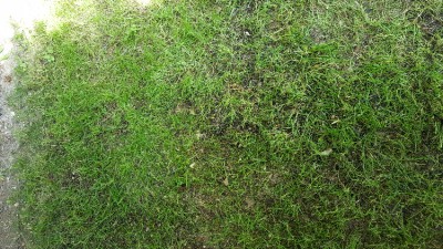 20170615_154201.jpg