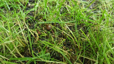 20170615_154210.jpg