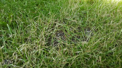 20170615_115135.jpg