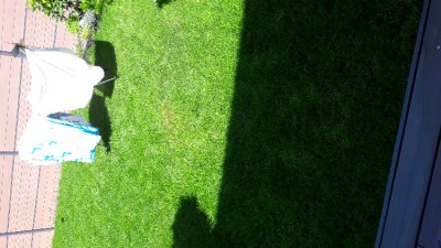 20170618_120932.jpg