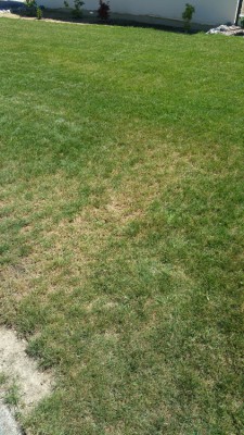 20170618_124316.jpg