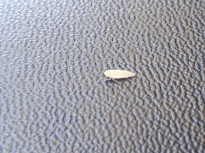 20170618_194013.jpg