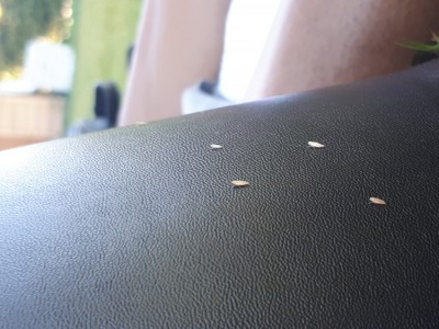 20170618_193947.jpg