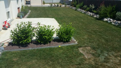 20170619_154535.jpg
