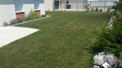 20170619_154555.jpg