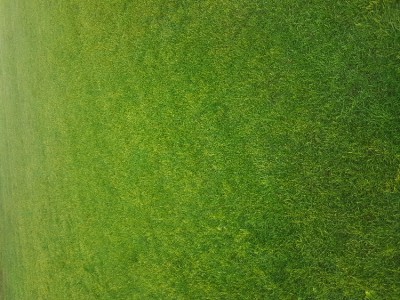 20170620_210036.jpg