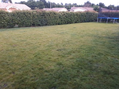 20170620_213742.jpg