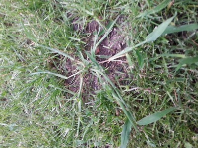 20170620_184404.jpg