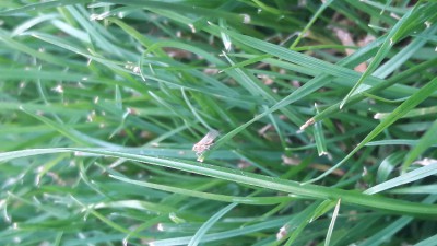 20170622_203741.jpg