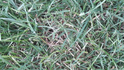 20170622_203749.jpg