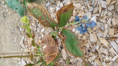 20170624_191304.jpg