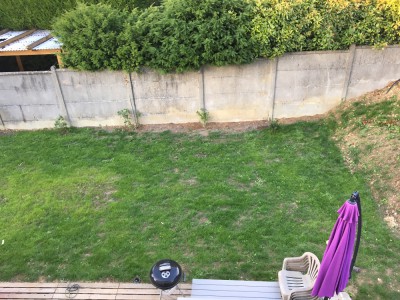 photo gazon1.jpg